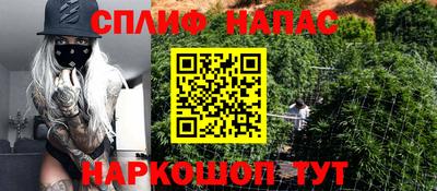 PSILOCYBIN Заволжье