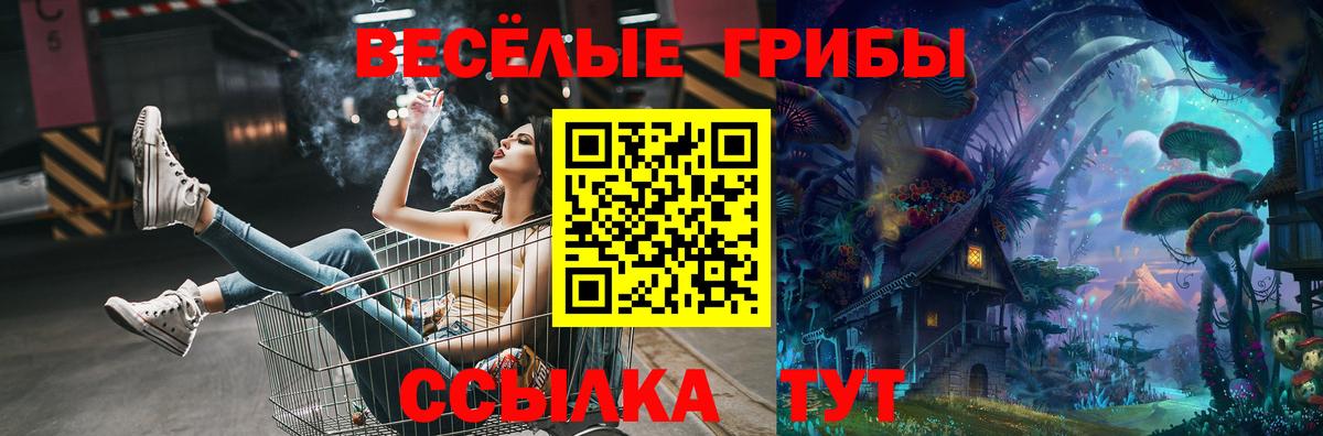 Псилоцибиновые грибы Psilocybe Лысьва